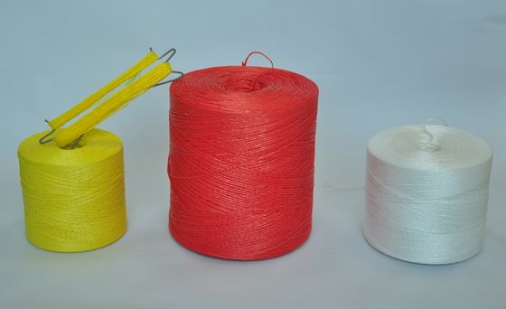 tutoramento para tomate e pimento/ staking for tomatoes and peppers