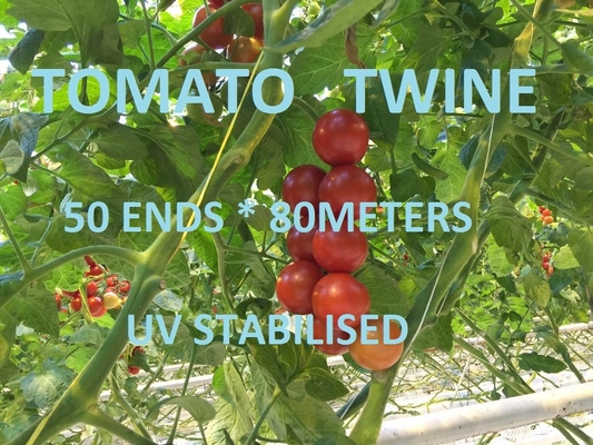 삼실 다채로운 플라스틱 정원 패킹 라피아 야자 끈을 매는 온실 토마토