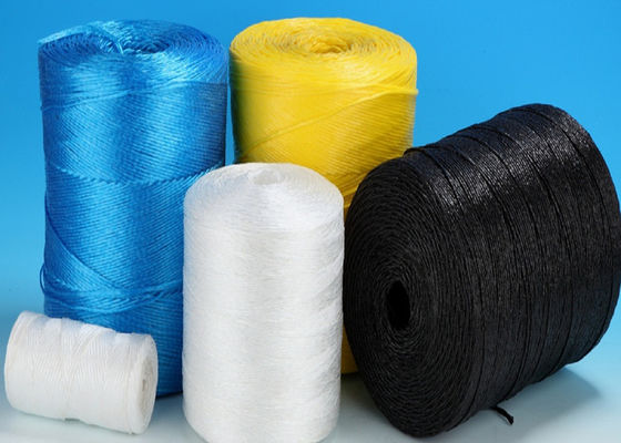 5 킬로그램 /는 7500D 1200m/kg 처녀 폴리프로필렌 토마토 결합 끈 르프아를 되감습니다